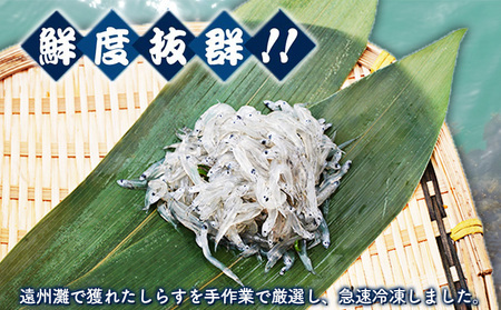 しらす 100g 4パック 魚貝類 海の幸 海鮮 しらす