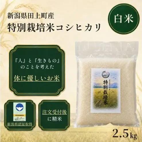 【先行予約】令和8年産 特別栽培米コシヒカリ 2.5kg