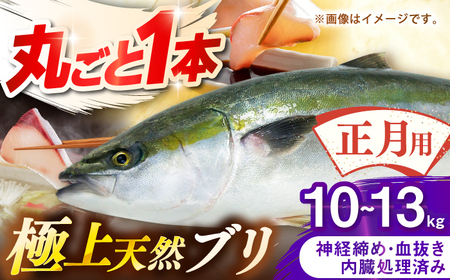 【正月用】　壱岐産　天然ブリ　丸ごと1本　10㎏～13㎏《壱岐市》 【みやげ処 縁由】[JBJ027]