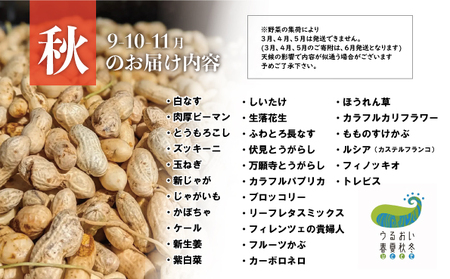 こだわり 野菜セット 9品 以上 【予約受付 26年6月発送開始予定】うるおい春夏秋冬 C0493 詰め合わせ 季節の野菜 国産