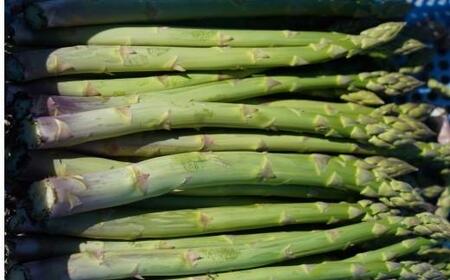 【予約受付 7月～】長野県宮田村産！　アスパラガス２ｋｇ（野菜 食品 人気 新鮮 健康 美味しい 春 夏 おつまみ 茹で マヨネーズ 栄養 地元産 国産 日本産 高品質 自然派 上伊那 宮田村 長野 