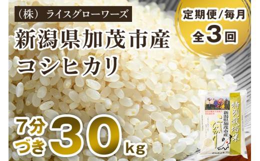【令和8年産新米先行予約】【定期便3回毎月お届け】【7分づき】新潟県加茂市産 特別栽培米コシヒカリ 精米30kg（5kg×6）《10月上旬～順次出荷》  従来品種コシヒカリ （株）ライスグローワーズ