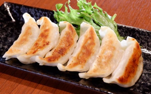 【数量限定】熊本 和牛 あか牛 ぎょうざセット 60個 【有限会社 三協畜産】 [AYCQ003]