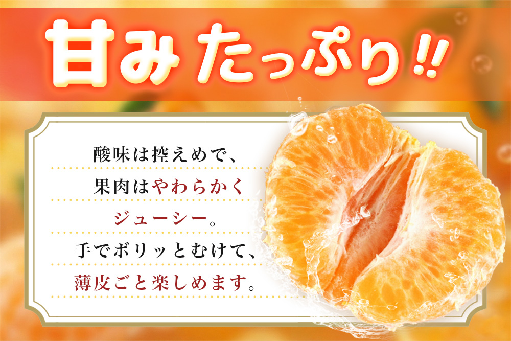 【2027年1月中旬より発送開始】ポンカン 10kg【みかん 柑橘 フルーツ デザート 貯蔵 高糖度】(H116147)