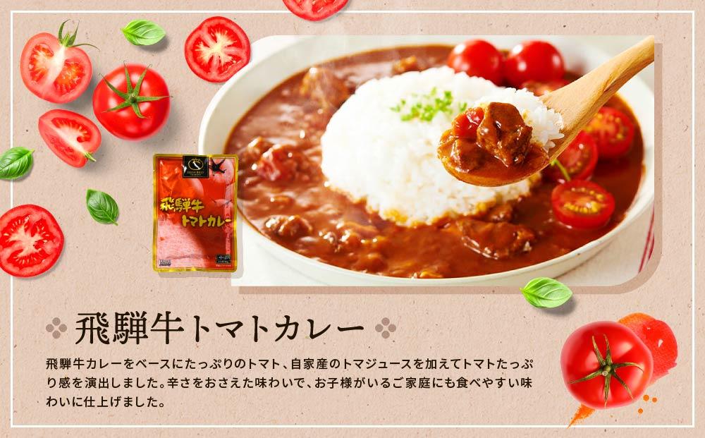 訳あり 飛騨牛レトルト４種１２袋！ バラエティセット 飛騨牛 肉 牛 カレー ビーフカレー トマトカレー ビーフシチュー デミハヤシ レトルト 12袋 簡易包装 レトルトカレー おいしい 便利 飛騨高