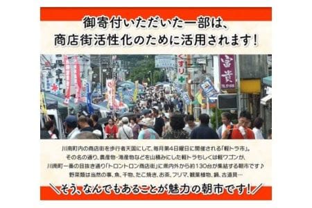 鶏肉 宮崎県産若鶏日南どりもも肉と手羽元計4kg(各2㎏×1) 銘柄鶏 鶏肉