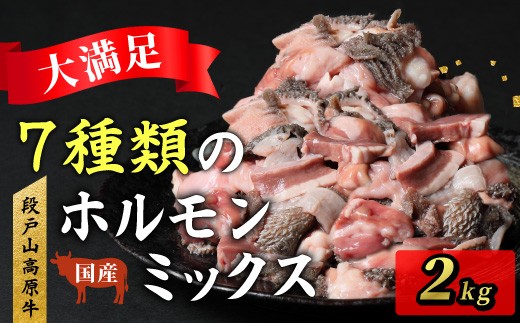 
                  段戸山高原牛 ホルモンMIX 2kg（100g×20パック）小分け 国産牛 もつ鍋 焼肉用 ホルモン ホルモン焼き 焼肉 BBQ キャンプ 肉 鉄板焼き 牛肉 ブランド牛 国産 センマイ モウチョウ 小腸 直腸 ギアラ ハツ 数量限定  -192
                