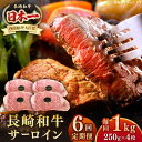 【ふるさと納税】【全6回定期便】長崎和牛 サーロインステーキ 1kg（250g×4枚）《壱岐市》【長崎フードサービス】 肉 牛肉 赤身 国産 冷凍配送[JEP029]