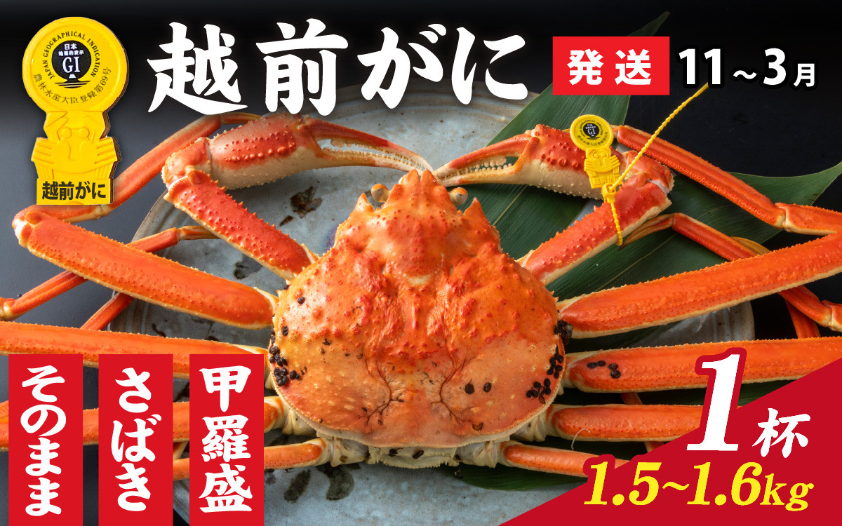 
            【先行予約】選べる！美味しさ直送【成前特選】越前かに（1.5kg～1.6kg）×1杯【11月～3月発送】 [Q-028031]
          