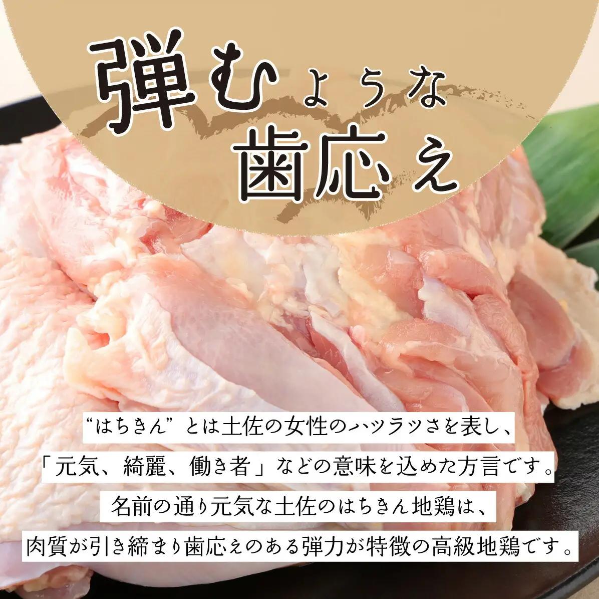 土佐はちきん地鶏 鶏しゃぶ 鶏鍋 地鶏 堪能セット