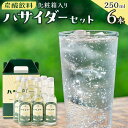 【ふるさと納税】炭酸飲料 サイダー セット 6本 × 250ml ハサイダー 箱入り | 飲料 ソフトドリンク 人気 おすすめ 送料無料