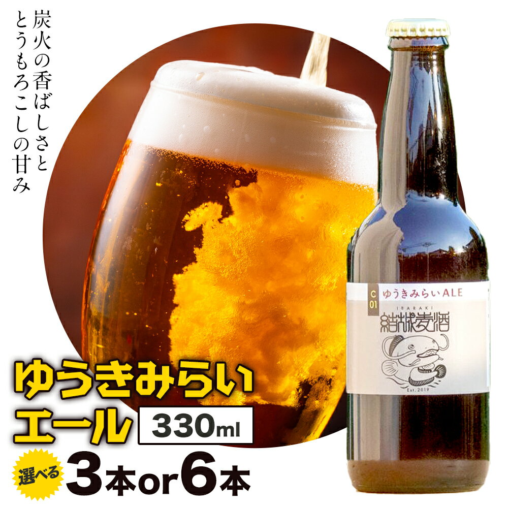 【ふるさと納税】ビール ゆうきみらいエール 330ml × 3本 6本 株式会社結城麦酒《30日以内に出荷予定(土日祝除く)》茨城県 結城市 ビール 酒 エール クラフトビール 瓶 敬老の日 国産