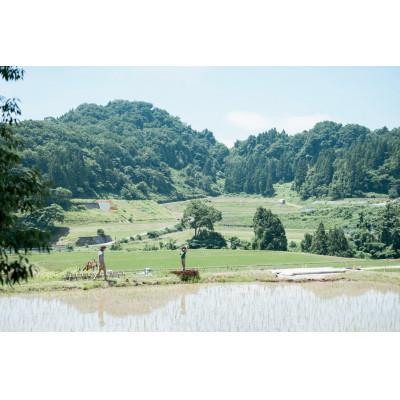 ふるさと納税 魚津市 【新米】環境保全米　富富富　白米10kg【北アルプス早月川最上流の棚田米】 |  | 01