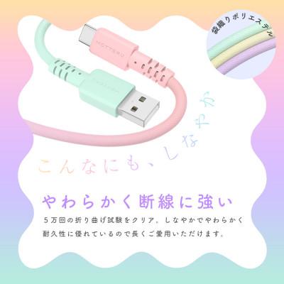 ふるさと納税 海老名市 グラデーションケーブル A to C 1m シャーベット(MOT-SCBACG100-SE) |  | 03