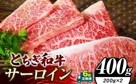 【定期便6回】栃木県共通返礼品 とちぎ和牛サーロイン (200g×2)×6回｜定期便6回 黒毛 和牛 牛肉 焼肉 ステーキ BBQ バーベキュー ブランド和牛 とろける 霜降り 赤身 切り落とし ふるさと 納税 イチオシ おすすめ 栃木県 下野市 しもつけ市