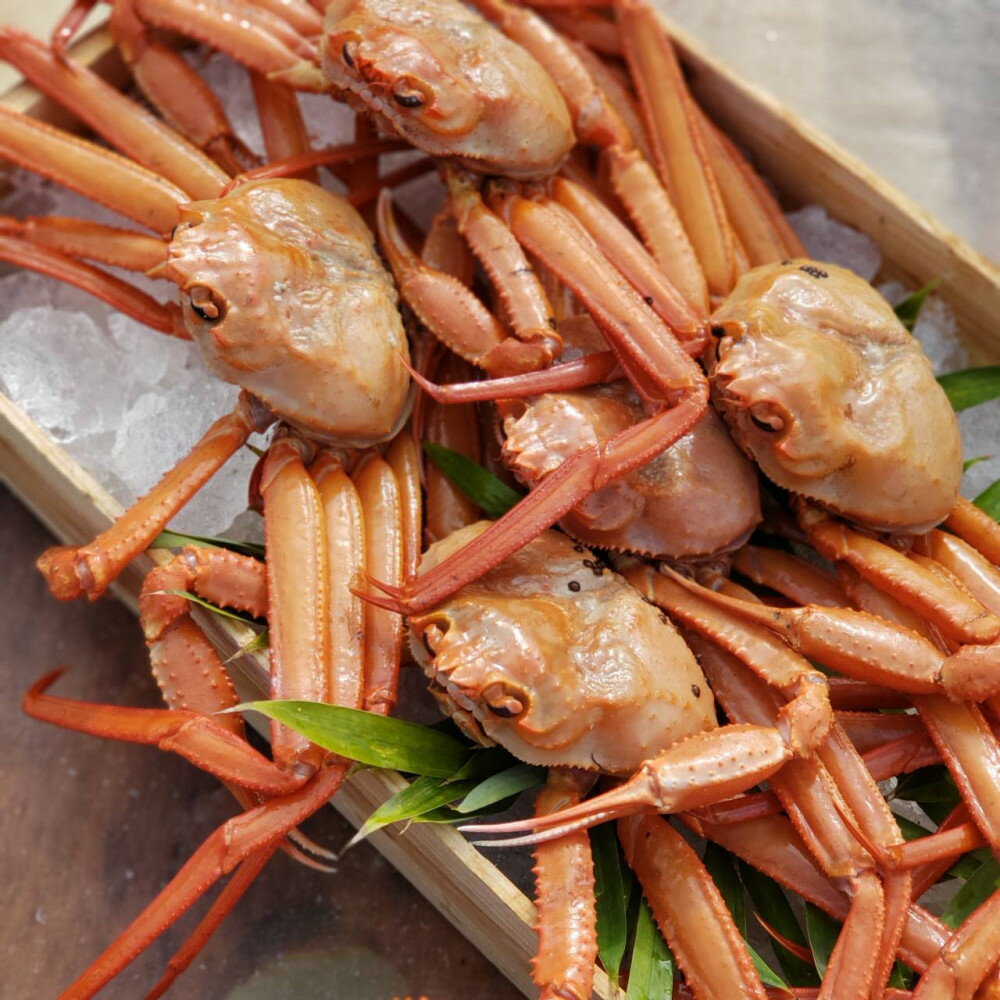 【ふるさと納税】＜容量が選べる＞＜7～8月配送不可＞山陰産！ボイル紅ずわいがに(姿2～4枚・計1～2kg以上)