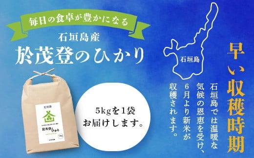 石垣島産 於茂登(おもと)のひかり 5kg みやぎ米屋【 日本一早い新米の産地 石垣 米 お米 産地直送 旬 しきゆたか 沖縄県 石垣市 】MK-1 
