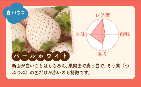 【先行予約】【4回定期便】食べ比べ！いちごさん＆パールホワイト定期便 / イチゴ 苺 ブランド果物 フルーツ 佐賀県産 白石町産 九州 [IBG012]