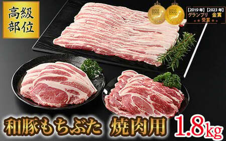 和豚もちぶた 高級部位焼き肉用 1.8kgセット (ロース・バラ・肩ロース) ◇｜和豚 和豚 和豚 和豚 和豚