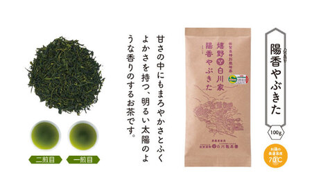 【ギフト箱・のし】白川家三茶葉味くらべセット 計300g / お茶 日本茶 嬉野茶 緑茶 / 佐賀県 / 白川製茶園 [41AIAB010]