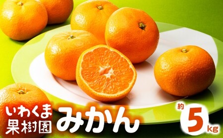 AA216.いわくま果樹園から直送品の温州みかん（約5kg）／2026年9月下旬～2027年1月下旬発送予定★予約分★