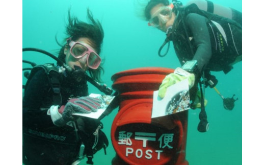 
すさみの海で体験ダイビング！【ギネス認定】海中ポストへのハガキ投函付き(1名様分)
