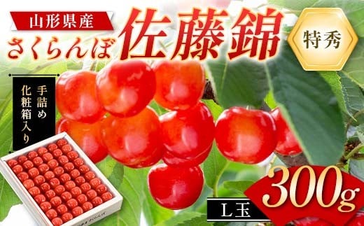 さくらんぼ 佐藤錦 300g L玉 特秀 手詰めギフト 山形県産 化粧箱入り 【令和8年度 先行予約】 FSY-2263