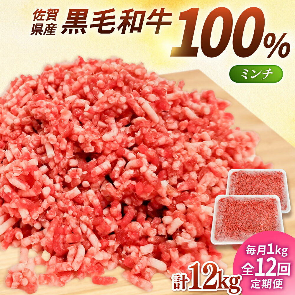 【ふるさと納税】【小分けがうれしい！】【12回定期便】牧場直営店の黒毛和牛100%ミンチ 1000g（500g×2パック）【川崎畜産】黒毛和牛 ミンチ 定期便1kg 100% 牛肉 ひき肉 牧場直営 国産 和牛 冷凍 ハンバーグ 人気 おすすめ 佐賀県 白石町 白石 [IAX022]