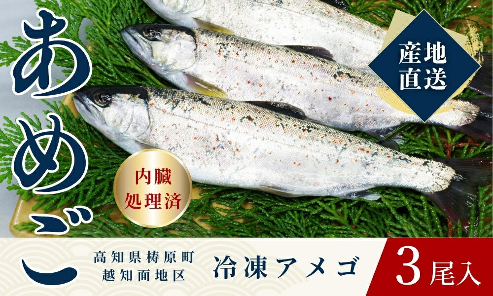 【ふるさと納税】四万十川源流域の清流で育ったゆすはらアメゴ（3匹入り）　アメゴ アマゴ 四万十川 清流 手作業 急速冷凍 川魚 養殖 新鮮 塩焼き　ICT デジタル化