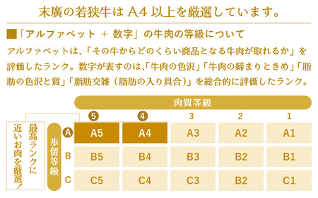 若狭牛 和牛ロース焼肉用 計500g （250g ×2パック）福井県産 ロースA4等級 以上を厳選！【牛肉 黒毛和牛 黒毛 和牛 冷凍 小分け バーべキュー グルメ】 [e02-c011]