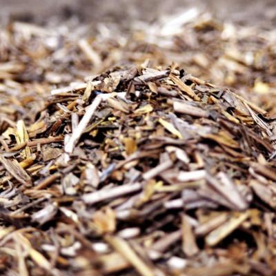 ふるさと納税 藤枝市 大満足 静岡県産 ほうじ茶 茶葉  1.2kg 個包装 200g 6袋 |  | 02