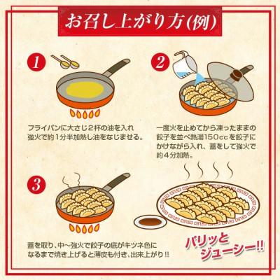 ふるさと納税 日南市 焼くだけ!!簡単調理!!本格 肉餃子　計300個(20個入り×15パック) |  | 03