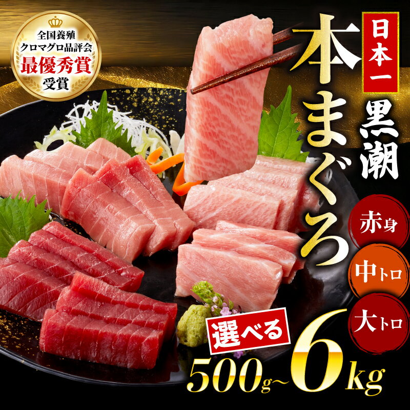 【ふるさと納税】 本マグロ 中トロ 赤身 大トロ 500g 1kg 6kg 日本一 全国養殖 クロマグロ 品評会 ランキング 1位 まぐろ トロ 刺身 さしみ 刺し身 鮮魚 まぐろ赤身 鮪 魚介 魚 マグロ 漬け 国産 養殖まぐろ 高級 養殖 人気 寿司 本鮪 冷凍 ギフト 高知道水 宿毛市 高知県