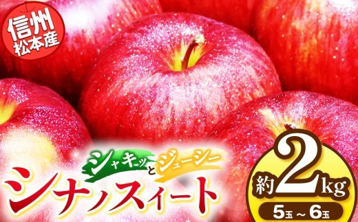 
                  【先行受付】信州松本産　シナノスイート　５～６玉約２kg 通常品 │ 林檎 りんご リンゴ シナノスイート 果汁 果物 貴重 くだもの フルーツ 自然 旬 ご褒美 長野県 信州 松本 ふるさと納税
                