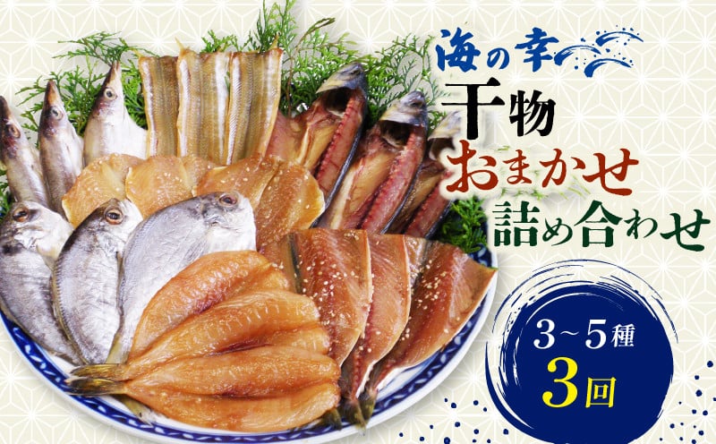 
            【3回定期便】 海の幸 干物 おまかせ詰め合わせ 3～5種 毎月･隔月選べる 鯛 フグ アジ 太刀魚 イワシ マメダイ タコ カマス サバ 冷凍 干物 鰯 海の幸 鯖 ひもの 詰め合わせ 干物 海鮮 タチウオ 干物セット 魚介 ひもの 干物 海の幸 鯵 河豚 蛸 ひもの あじ 干物 魚貝類 ふるさと納税干物 おかず つまみ 晩酌 ご飯のお供 魚貝 人気 おすすめ 愛知県 南知多町
          