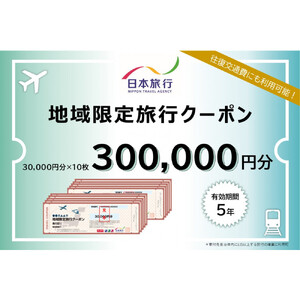 長野県長野市　日本旅行　地域限定旅行クーポン300,000円分 チケット | 旅行券 旅行クーポン クーポン 旅行 日本旅行 人気 おすすめ 観光 宿泊 長野県 長野市 信州 信濃 ふるさと納税