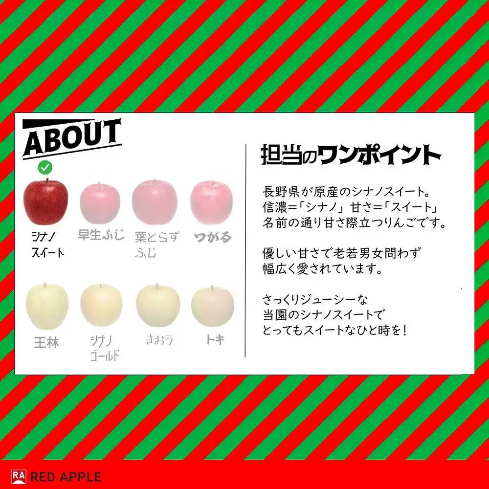 【26年9月発送】りんご【訳あり】家庭用 シナノスイート 約5kg 先行受付