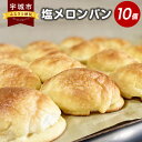 【ふるさと納税】塩メロンパン 10個セット メロンパン パン 菓子パン スイーツ おやつ 朝食 軽食 冷凍 詰め合わせ ミルキー 人気商品 九州 熊本県 宇城市 送料無料