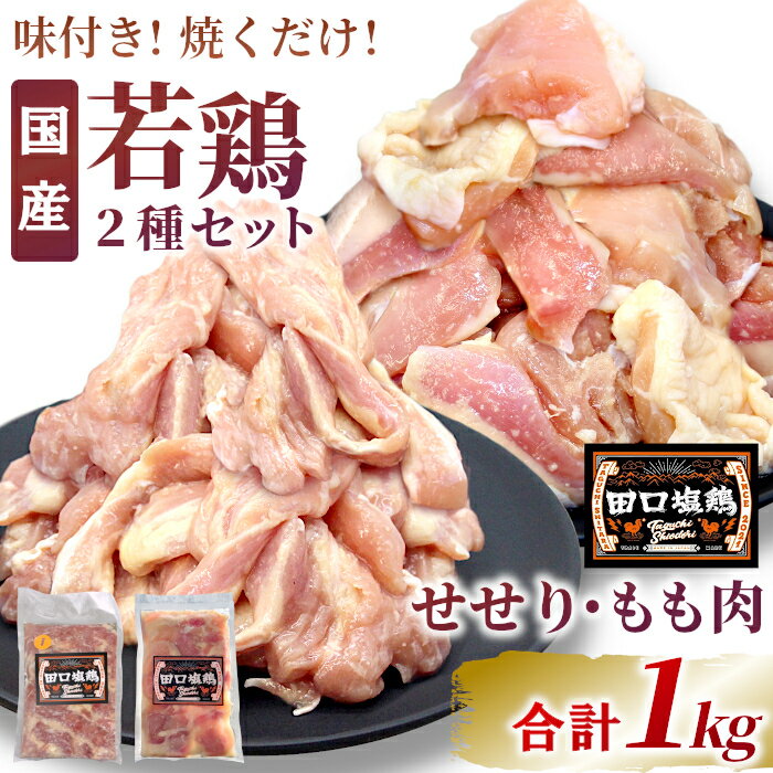 【ふるさと納税】奥三河どり使用！ 田口塩鶏 国産 若鶏味付け肉 2種セット（せせり・もも肉）合計1kg もも肉 600g せせり 400g 塩ダレ 味付け肉 鶏肉 鶏 肉 キャンプ バーベキュー 味付け肉 大容量 手軽 焼くだけ 地鶏 焼肉 焼き鳥 -171