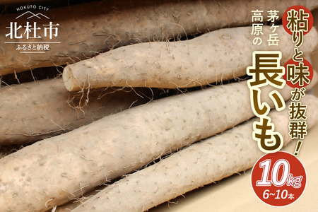 茅ヶ岳高原　粘りと味が抜群の長芋　10㎏箱 長芋 長いも 10kg 約6～10本 ながいも 山芋 野菜 とろろ 磯辺揚げ 粘り 期間限定 明野町 茅ヶ岳高原 山梨県 北杜市