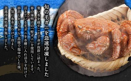 【先行予約】北海道オホーツク産　毛ガニ　1尾　500ｇ前後（2024年5月中旬発送予定）