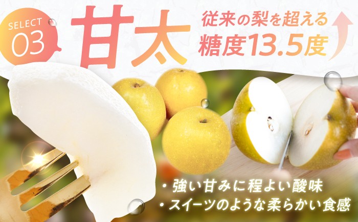 果物 梨 幸水 なし ナシ 果物