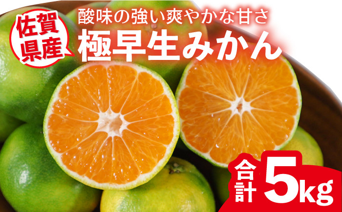 
                  【10月以降順次発送】佐賀県産 極早生みかん 約5kg　2S～2Lサイズ　 [FBT041]
                