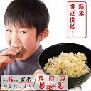 【ふるさと納税】【3回定期便】玄米 5kg 令和6年産 あきたこまち 岡山 あわくら源流米 K-bb-BDCA