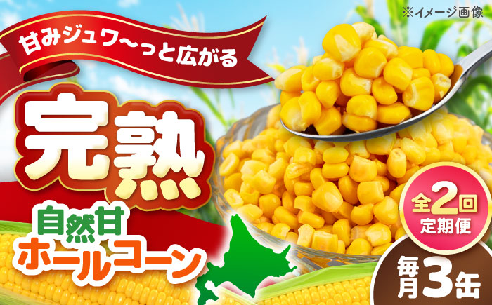 
            【全2回定期便】【北海道産】 自然甘ホールコーン 3缶（C7号缶）《喜茂別町》【きもべつ観光協会】 コーン コーン缶 とうもろこし トウモロコシ 北海道 常温 常温配送 [AJAG035]
          