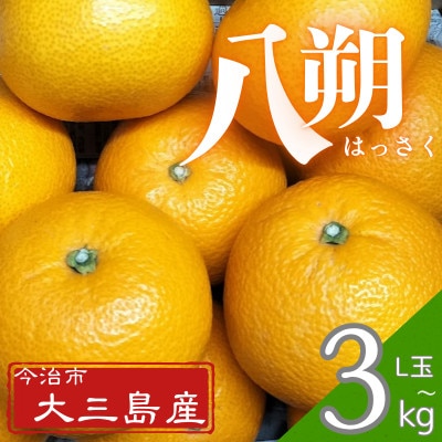 【先行予約】大三島産 八朔　約3kg【K003210L3】【1668589】
