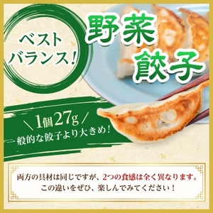 【佐野餃子(大)10個2人前】と【佐野餃子(中)野菜餃子24個4人前】【配送不可地域：離島・沖縄県】【1061582】
