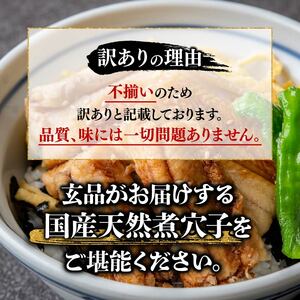 訳あり 国産 肉厚 煮穴子 300g 冷凍 あなご 穴子 天然 不揃い 魚介 魚介類 鮮魚 海鮮 魚 お魚 醤油 タレ 煮込み 玄品 高級 長崎県 産 大阪府 松原市