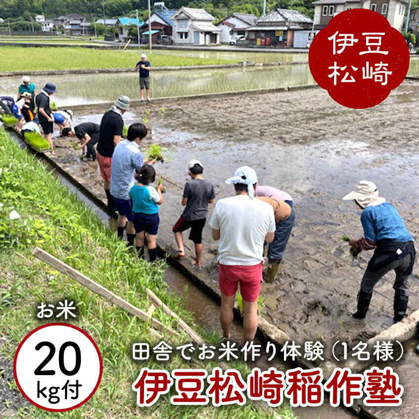 【ふるさと納税】伊豆松崎稲作塾(1名様) お米20k付き