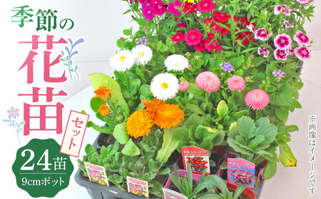 季節の花苗セット｜花苗 ギフト ガーデニング